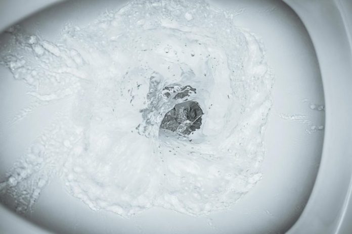 Toilet-Flushing-777x518