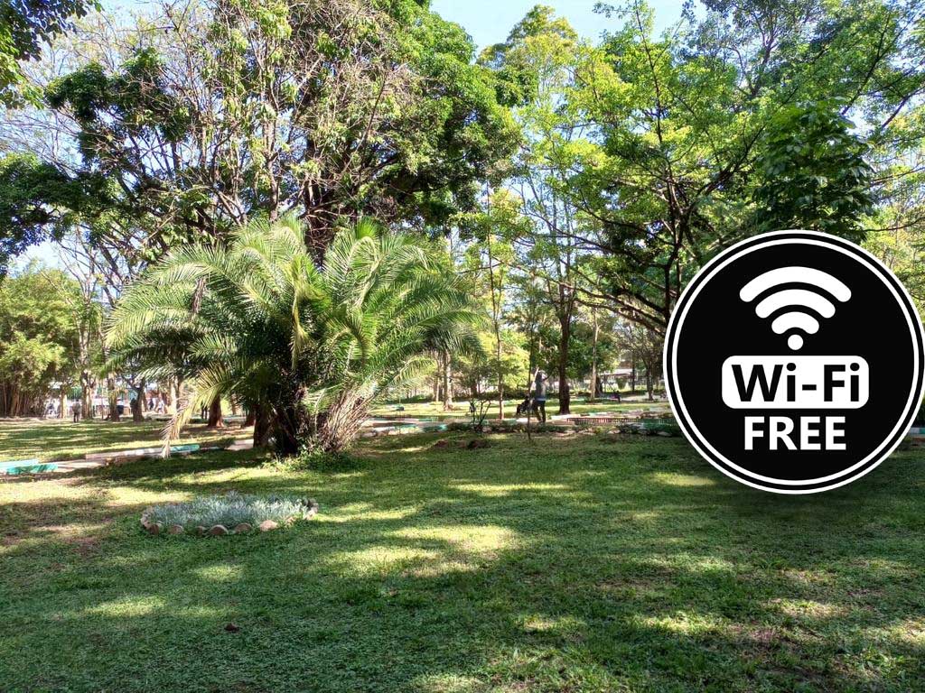 Kakamegas Muliro Gardens To Be Fitted With Wi Fi Photos Uzalendo News 
