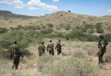 Two Suspected Bandits Killed in Failed Livestock Raid in Turkana