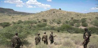 Two Suspected Bandits Killed in Failed Livestock Raid in Turkana