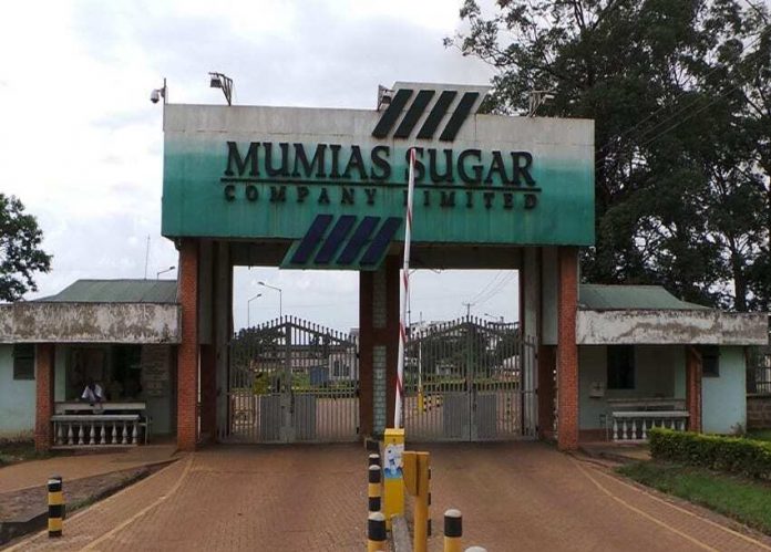 mumias sugar