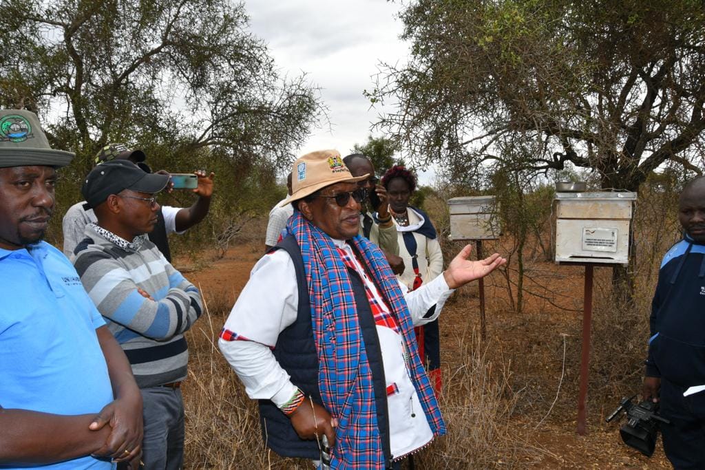 296764948_1825889901093332_237844271387771866_n