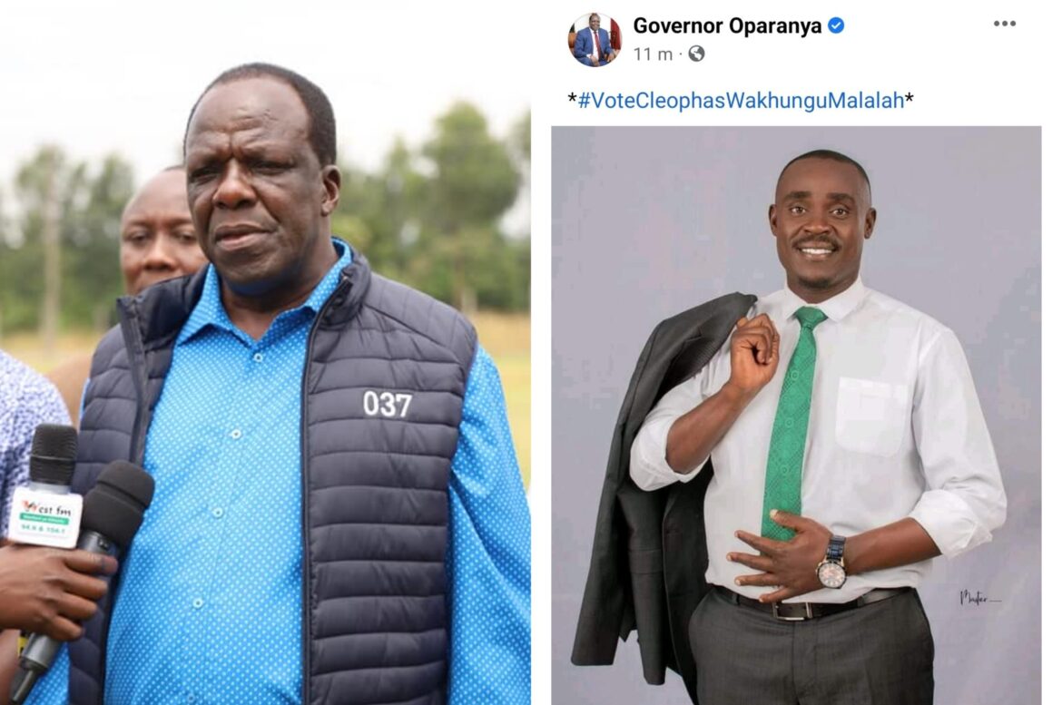 Polish_20220829_104618872-1170x777-1