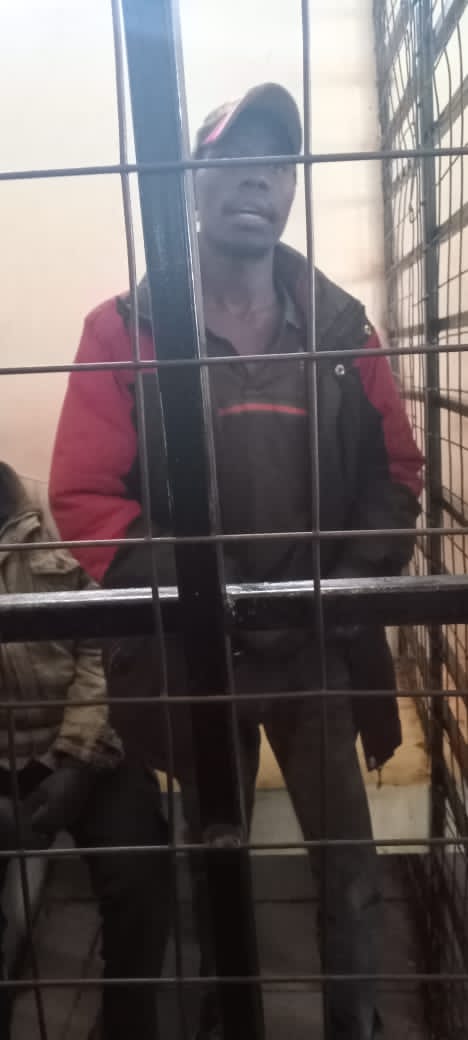 40f427bd-60ad-403d-ab86-c5d245119e4b