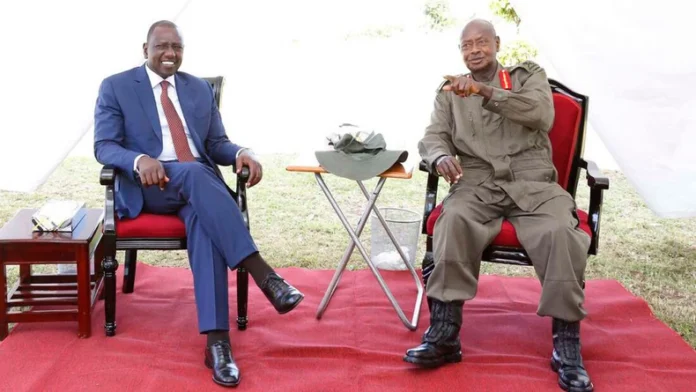 06nk9kpTURBXy82M2FlMjlmMGIxMjQ5NzhmMzhkZTkwNmU5MmI1ZDkzOC5qcGeRlQLNAxbNAb3Cw94AAaEwBQ