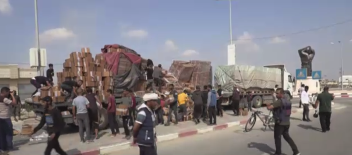 Screen Shot 2023-11-02 at 10.14.40 PM