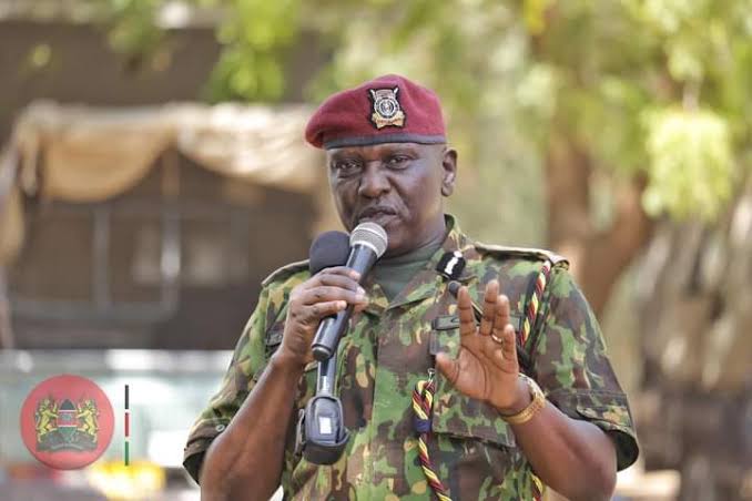 images-2024-08-14T170547.346