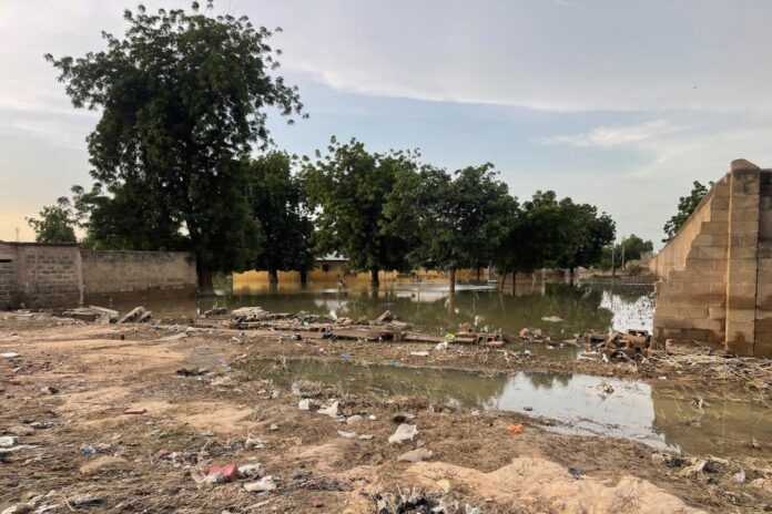 341aa30d-a443-4dc0-91ec-1f3f3cde0f30_52414932