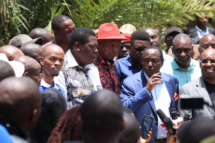 461297809_1105822530904624_7243389704052161280_n