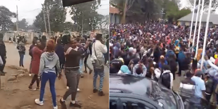 Untitled-design-2024-09-17T135451.927