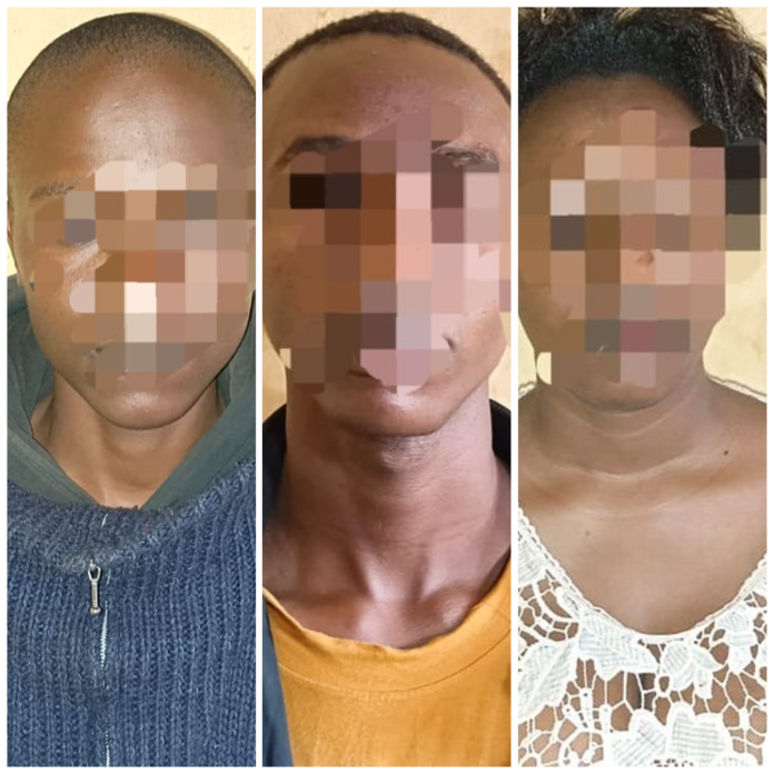 photo-collage.png (1)