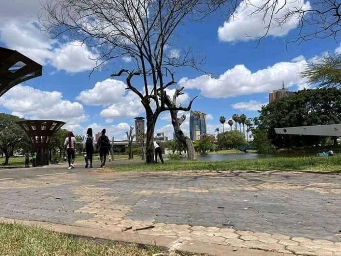 463164749_10224187431129526_6948563839549716359_n