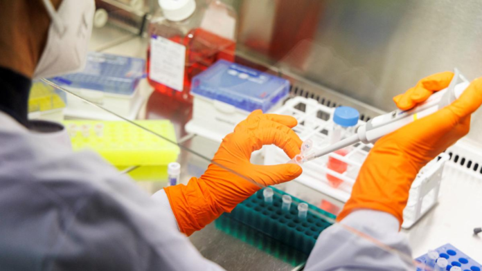 Screenshot 2024-10-14 171419