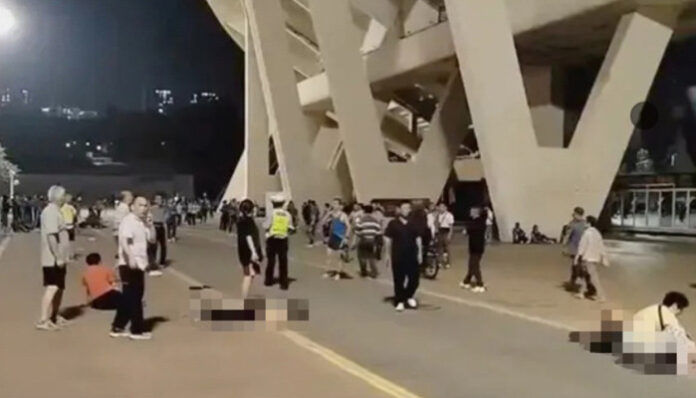 chinastanum-mahapatzhi-en-enta-n313556-745-1