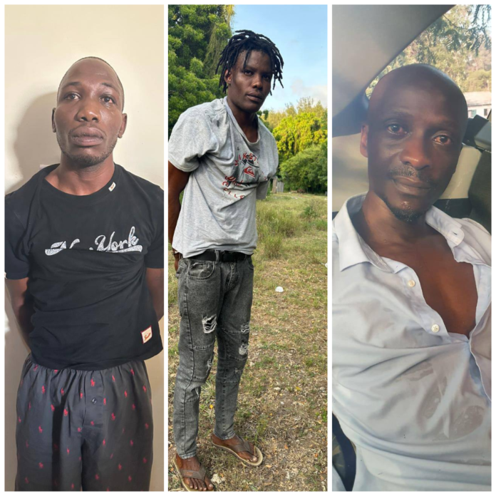 photo-collage.png (1)