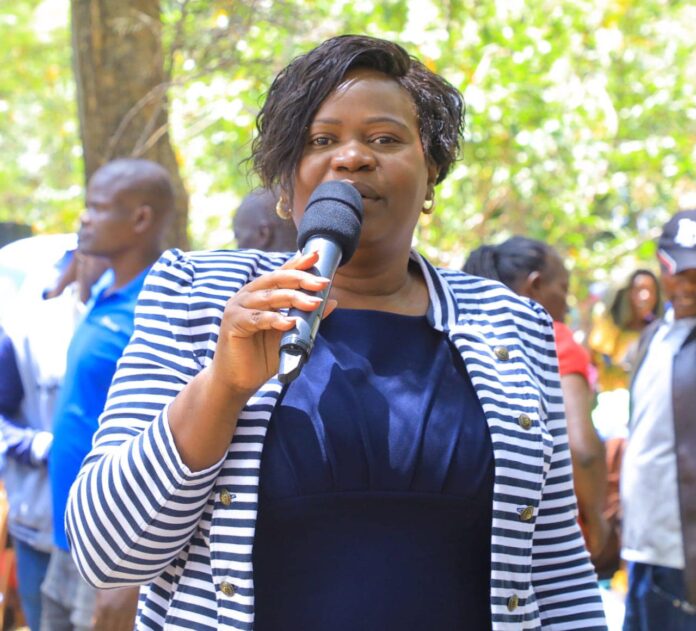 481215793_2285665002929091_8306632429139785553_n