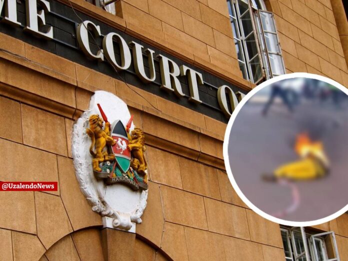 482322655_1254651892692521_1438741456812863115_n