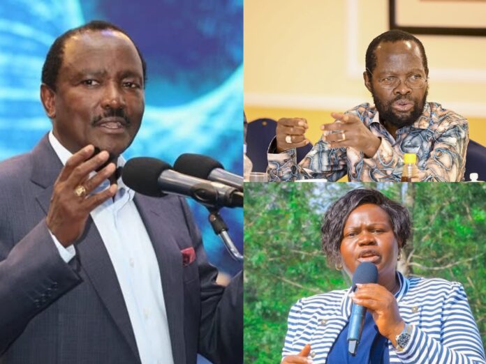 5C7C281C-CCAB-4C01-9817-6E57C76118EF