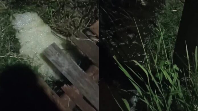 IMG_20250304_153448-1741091906