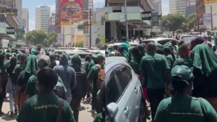 IMG_20250305_154607-1741179015