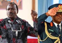 Ogolla Death: Ruto Allies Ask DCI To Investigate Kalonzo Remarks