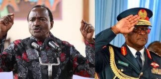 Ogolla Death: Ruto Allies Ask DCI To Investigate Kalonzo Remarks