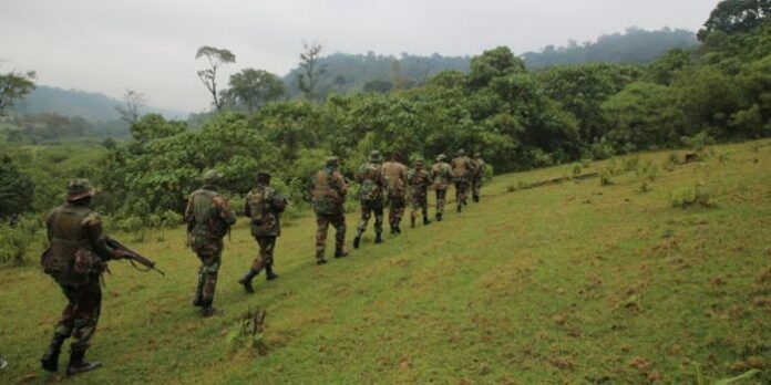 rangers_from_the_kenya_forest_service_kfs_during_a_past_operation