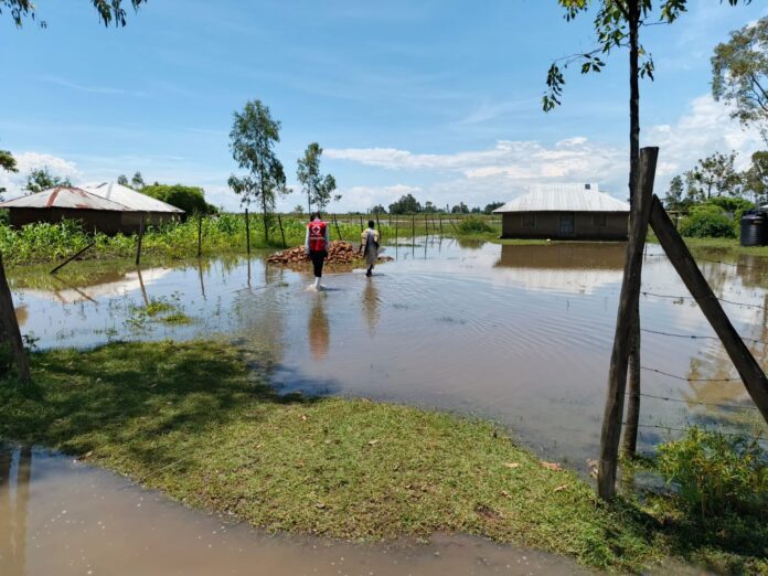 496813511_1105179578309393_2164671647558968365_n