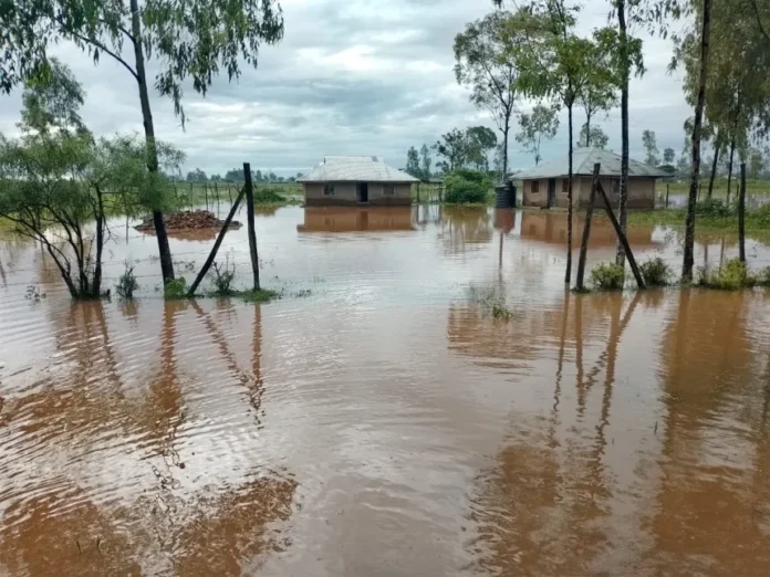 floods-file