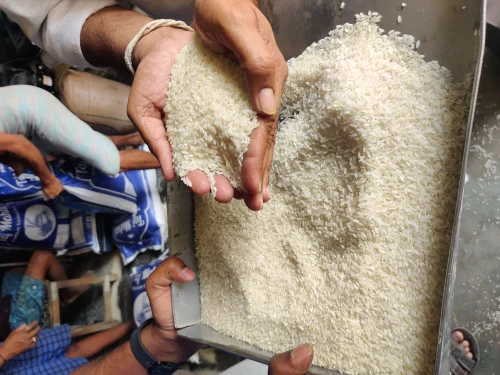 rice