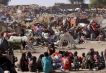Mass Exodus from El-Fasher as RSF Captures Key Sudanese City