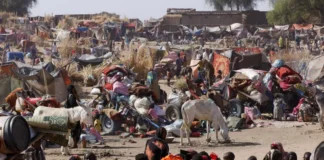Mass Exodus from El-Fasher as RSF Captures Key Sudanese City