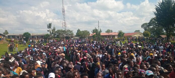 571197882_1137926511874995_7422161672843252351_n