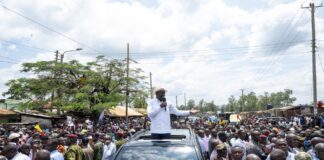 ‘Kichwa yako ni mzuri!’ Ruto scolds his security guard at a political rally