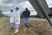 Search is on for 3 escaped monkeys after truck overturns on Mississippi highway
