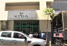 Court Halts KTDA’s Contested Multi-Million Security Tender Pending Case Outcome