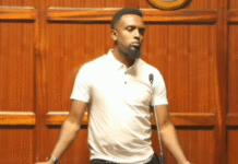 TikTok User Charged with Publishing False Information Against Police Officers