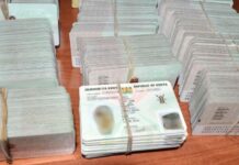 Huduma Centre Contradicts President Ruto Over ID Replacement Fee