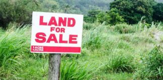 Major Land Fraud Network Dismantled in Nairobi Sting Operation