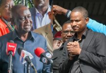 Babu will get ODM ticket if he wins party nominations – Oburu Oginga