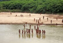 Uncontacted Amazon Tribe Seen near Peruvian Village as Loggers Close in on Territory