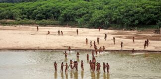 Uncontacted Amazon Tribe Seen near Peruvian Village as Loggers Close in on Territory