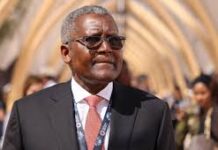 Aliko Dangote Joins the $30 Billion Club as Net Worth Soars Amid Cement Expansion