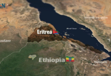 Ethiopia Asks The World For Help as Tensions with Eritrea Escalate Over Red Sea Access