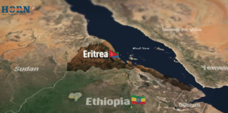 Ethiopia Asks The World For Help as Tensions with Eritrea Escalate Over Red Sea Access
