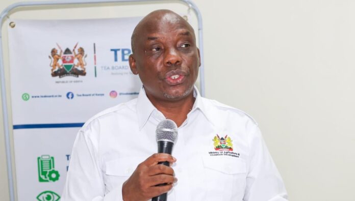 12-2-e1733740246120-1110x630