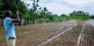 COP30: Climate Finance Key for Conflict-Affected Nations, Says AfDB