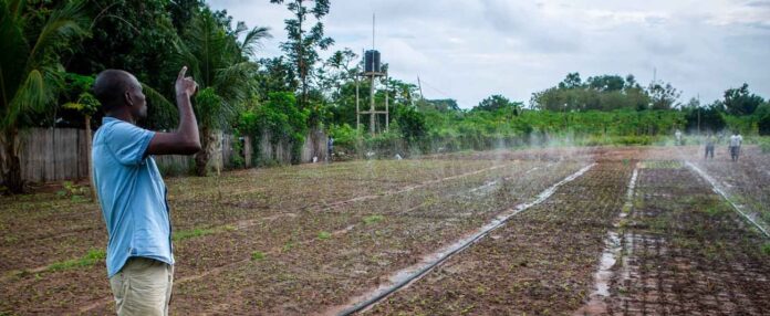 1500-road-to-cop-financement-climatique-cop30-en