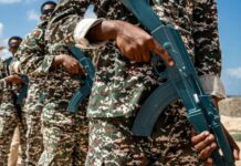 Over 200 Kenyans fighting for Russia in Ukraine war, Foreign Affairs ministry says