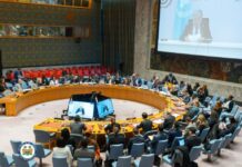 Sierra Leone’s President Julius Maada Bio Proposes ECOWAS _UN_ Compact for Peace and Resilience in The Sahel at United Nations (UN) Security Council